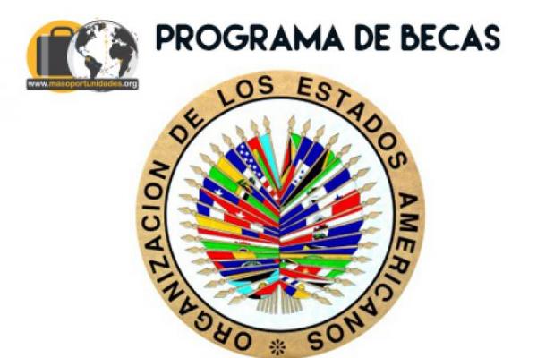 Programa de becas de la OEA